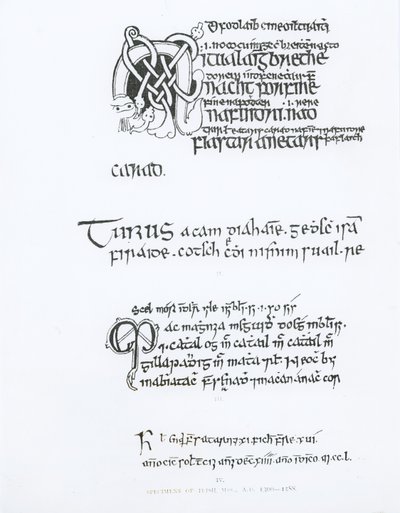 Specimens of Irish Manuscripts by English School